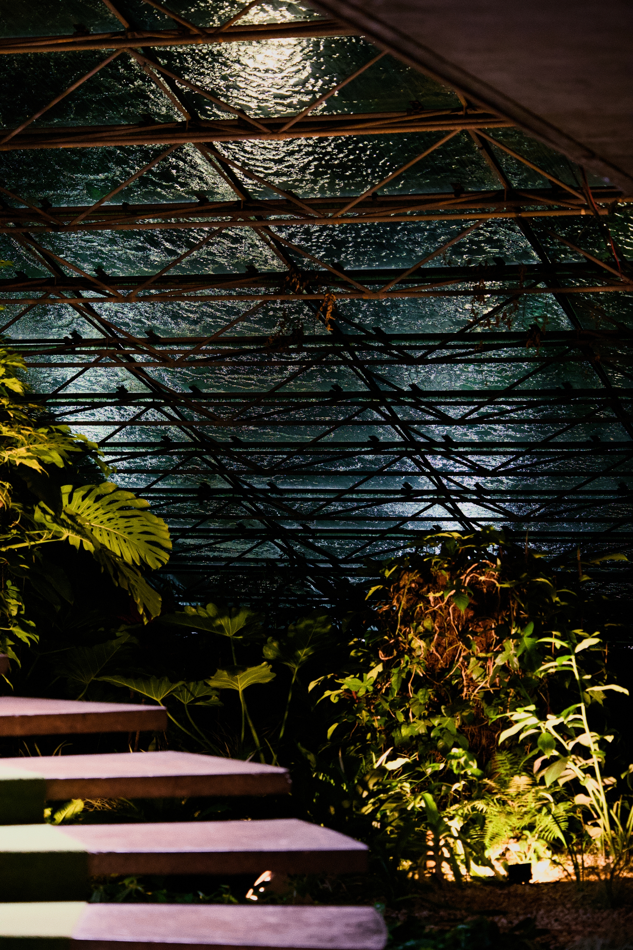 Curved steps leading through lush plants beneath a glass-and-metal greenhouse roof with warm light filtering in