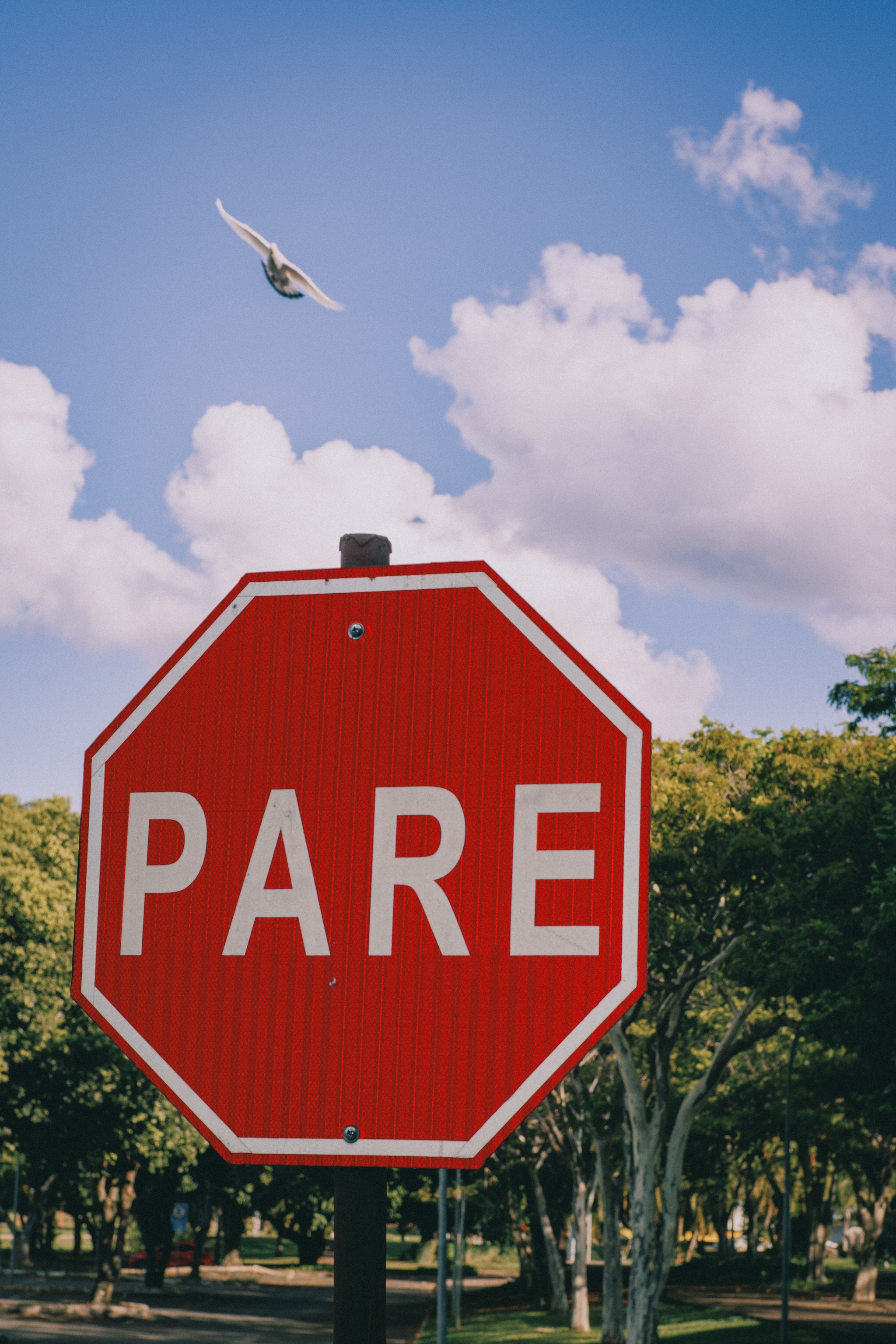 A red octagonal stop sign with the word PARE in white, set against a background of trees and a blue sky with clouds. A bird is flying above