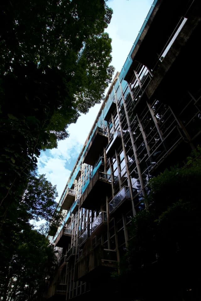 A tall building under construction with scaffolding, surrounded by trees, viewed from a low angle against a partly cloudy sky