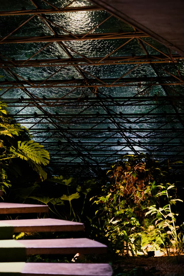 Curved steps leading through lush plants beneath a glass-and-metal greenhouse roof with warm light filtering in