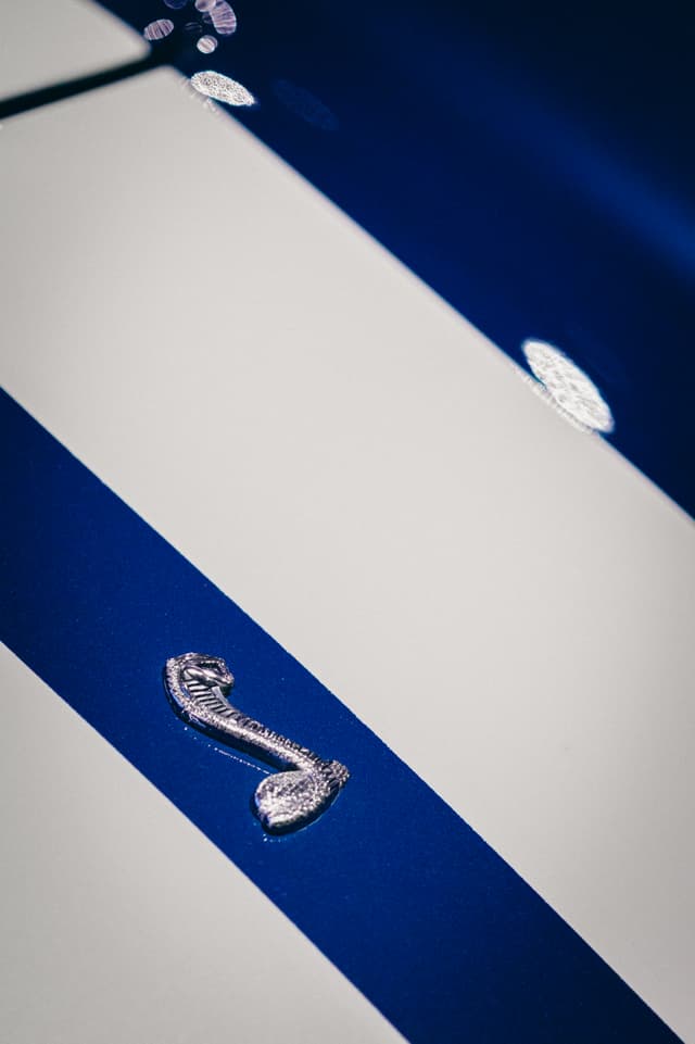 A close-up of a car hood with blue and white racing stripes and a cobra emblem