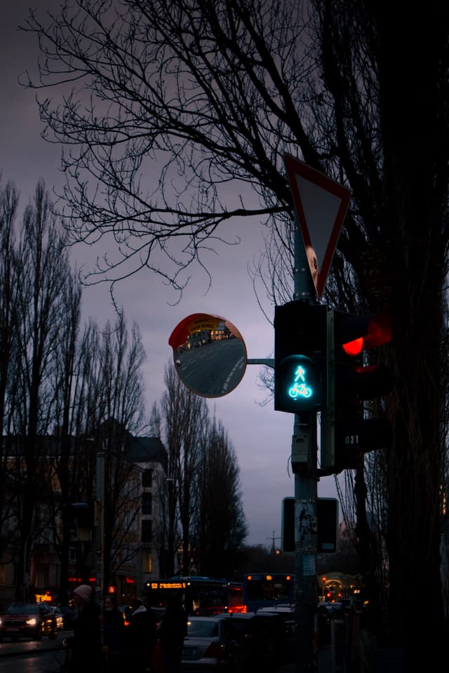 A dimly lit street scene at dusk with a traffic light showing a green pedestrian signal, surrounded by bare trees and a convex mirror reflecting the street